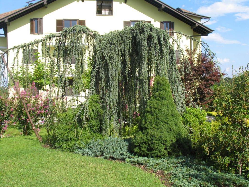 Albergo Residence Isotta Veruno Dış mekan fotoğraf